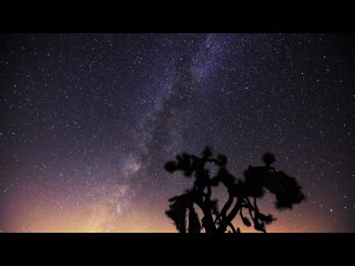 starry night sky