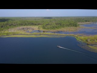 ocala national forest