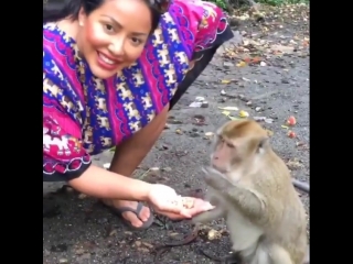 kiara mia feeding the monkey sex porn big boobs big tits big ass mature