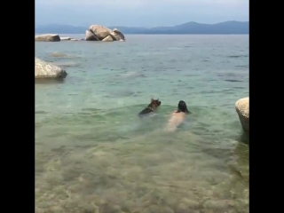 eva lovia swims naked on the lake with a dog, star porn model big tits milf
