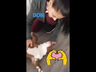 apolonia lapiedra plays with dog, star porn model small tits